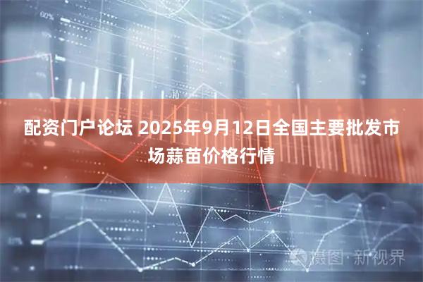 配资门户论坛 2025年9月12日全国主要批发市场蒜苗价格行情