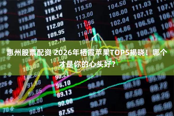 惠州股票配资 2026年栖霞苹果TOP5揭晓！哪个才是你的心头好？